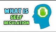 What is Self-Regulation | Explained in 2 min