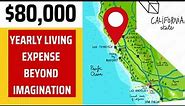 HIGH cost of living in CALIFORNIA, USA | OUR MONTHLY EXPENSES IN CALIFORNIA