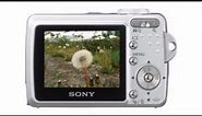 Sony CyberShot DSC-S500 Point & Shoot Camera Specification