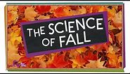The Science of Fall | Compilation | SciShow Kids