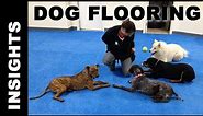 Dog Agility, Daycare and Kennel Flooring Considerations