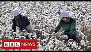 Nike and H&M face China backlash after warning of Uighur forced labour in cotton industry - BBC News