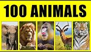 100 Animals for Kids Learn – Animal Sound and Video for Kids, Babies & Toddlers, Educational Video