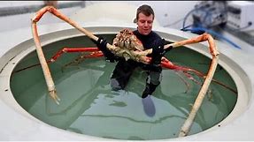World's Biggest Crabs