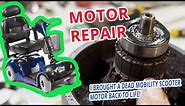 Mobility Scooter MOTOR REPAIR Guide! | Watch My BASIC Mobility Scooter Motor Refurbishment Guide
