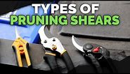 Pruning Shears Explained: Choose the Best Pruners For Your Garden