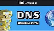 DNS Explained in 100 Seconds