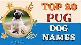 Top 20 Dog Names | Names for Pug | Dog Channel | Dog Name New | #Unique #Dog #Names #Vodafonedog