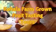 Hawaii Exotic Fruit Farm Tour