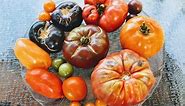 Heirloom Tomato Tasting Review: Which Was the Best?