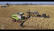 2019 Illinois Corn Harvest with On Track Farming Inc