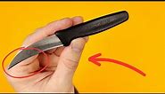 Master Delicate Cuts with Victorinox Bird's Beak Paring Knife #review