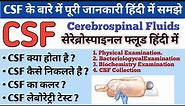 Cerebrospinal Fluid ( CSF ) Collection of CSF | CSF Examination | What is CSF and its function?