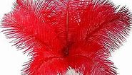 10pcs Natural Red Ostrich Feathers 20-22inch 50-55cm for Wedding Party Centerpieces, Easter Home Decorations