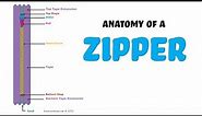 Anatomy of a ZIPPER - Parts, components, terms, sewing vocabulary. Sewing Sample Dictionary.