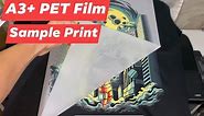 DTF Sample Print A3+ Film - No Black