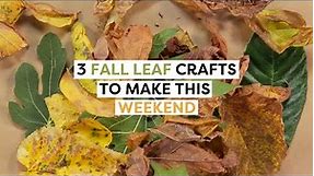 3 Cozy Fall Leaf Crafts & DIYs | Fall Decor DIYs