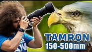 TAMRON 150-500mm REVIEW: The BEST Wildlife / Sports Lens for SONY on a Budget?