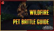 Wildfire Pet Battle Guide - Dragonflight (Legendary)