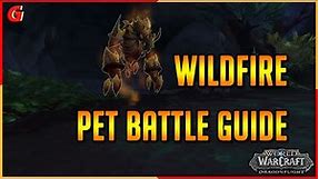 Wildfire Pet Battle Guide - Dragonflight (Legendary)