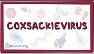 Coxsackievirus - an Osmosis Preview