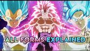 Super Dragon Ball Heroes Anime All EXCLUSIVE TRANSFORMATIONS Explained
