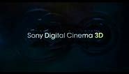 Sony Digital Cinema 3D [HD | 1080p]