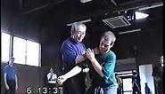Masaaki Hatsumi Budo Taijutsu | Basic stances to Zero training 1995