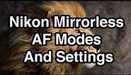 Nikon Mirrorless AF Modes And Settings