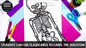Skeletal System Activities - Cut and Paste Skeleton Craft