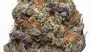 Purple OG Strain - Hybrid Cannabis Video Review : Hytiva