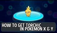Pokémon X and Y - How To Get Torchic
