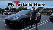 I'm A 2022 Black Tesla Model Y Owner | FINALLY