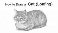 How to Draw a Cat (Loaf Position)