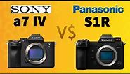 Sony a7 IV vs Panasonic Lumix S1R