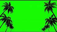Palm Tree Green Screen Chroma Key Background