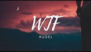 HUGEL feat. Amber van Day - WTF (Lyrics )