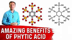 The Amazing Benefits of Phytic Acid – Dr. Berg