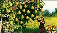 Harvesting Fresh Fruits in the Village 2 - 1 Hour Of The Best Fruit Recipes