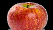Cortland Apple Review - Apple Rankings by The Appleist Brian Frange