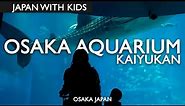 Osaka Aquarium Kaiyukan In Japan Is Amazing