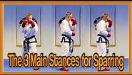 Taekwondo Sparring | The 3 Main Stances | GNT Martial Arts