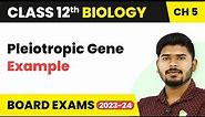 Pleiotropic Gene (Example) - Principles of Inheritance and Variation | Class 12 (2022-23)