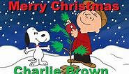 Charlie Brown Christmas - 60s Cartoons Explained. MERRY CHRISTMAS !!