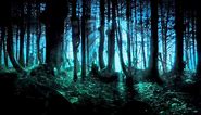 Frederic Chopin - Mysterious Forest