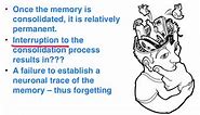 Consolidation theory (for memory) - VCE Psychology