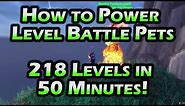How to Power Level Battle Pets