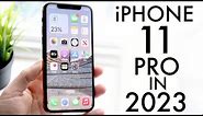 iPhone 11 Pro In 2023! (Still Worth It?) (Review)