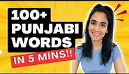 100 Punjabi Words Learning | English to Punjabi Words