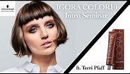 An Introduction to our Igora 10 Color Chart | Schwarzkopf Professional USA